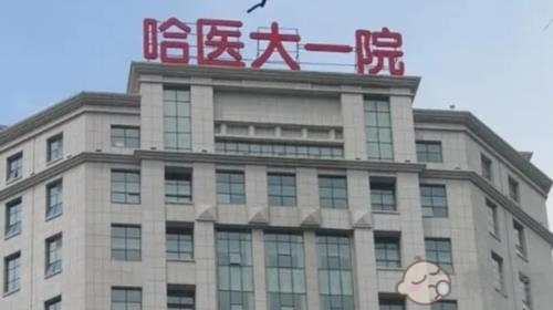 哈尔滨助孕公司套餐：2023年黑龙江试管婴儿医院排名 黑龙江试管婴儿成功率一览。