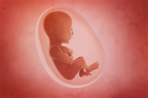太原助孕公司微信群-2023年舟山十大试管婴儿助孕公司新鲜出炉! 附代孕卵子等待时间的详细信息。